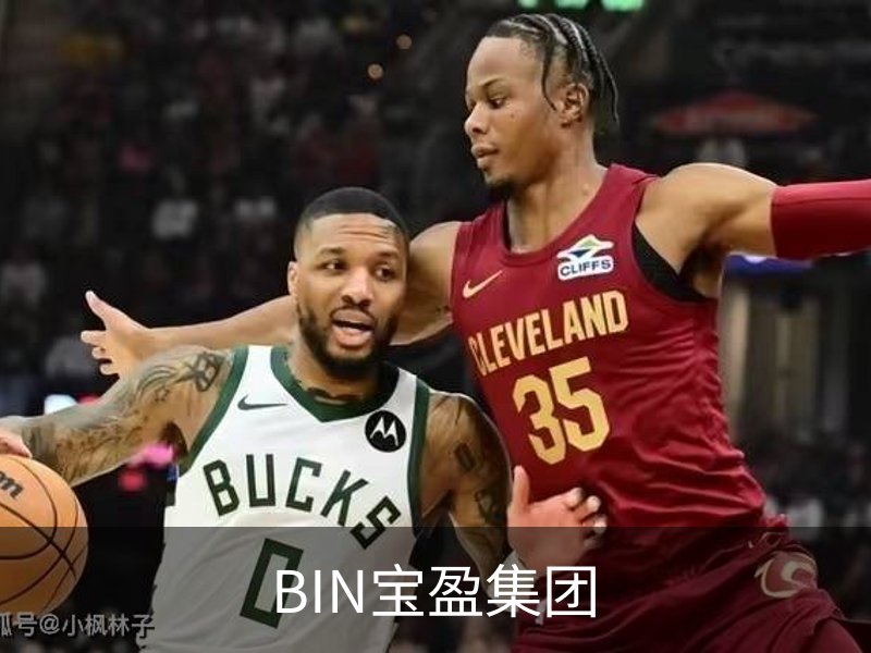 BIN宝盈集团简介